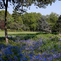 ES-264-01: Bluebells, Burhill Old Course, 18th Hole