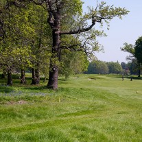 ES-264-03: Burhill Old Course 14th Hole