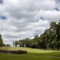 EB-126-08: Swinley Forest, 2nd Green & 3rd Tee