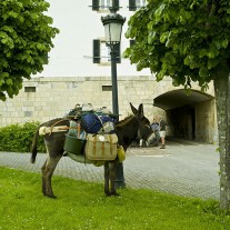 SN-07-04: Donkey & Pilgrims, Roncesvalles, Via Turonensis, Navarra, Spain